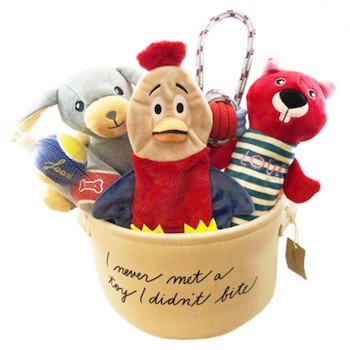 E-Commerce National Dog Day, Dog Toys and Storage Bin